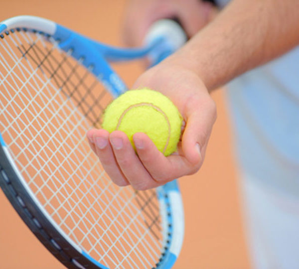 Com'etic accompagne le Comité des Hauts de Seine pour mener une expérimentation du réseau social privé, Whaller, dans 10 clubs de tennis pilote