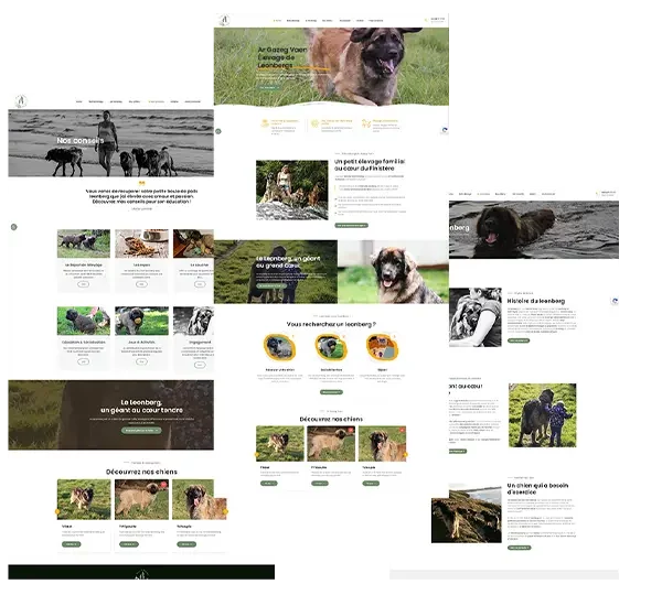 Le site Web de l'élevage de chien leonberg a été conçu et développé sur-mesure par l'agence digitale Com'etic.