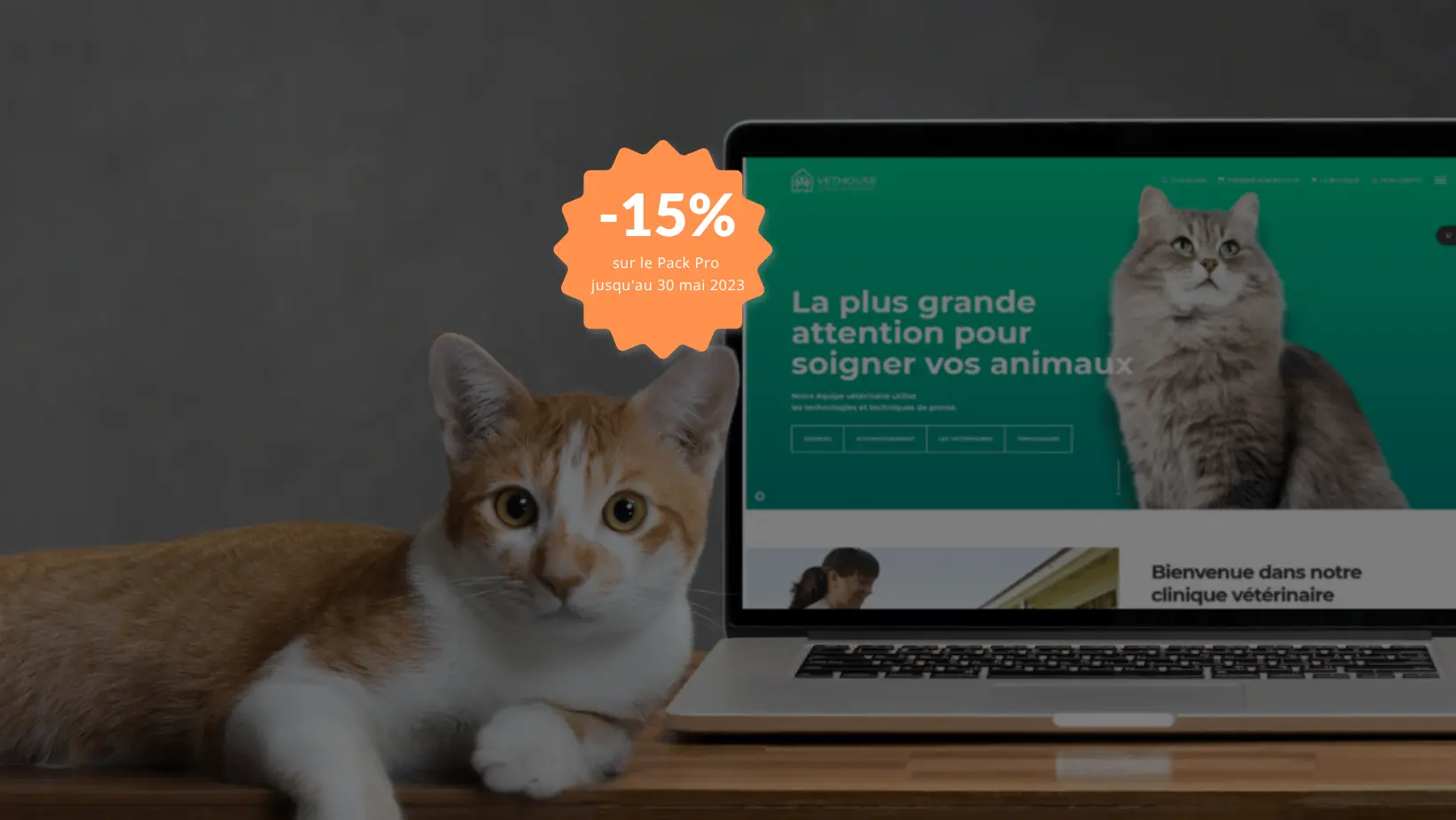 Bénéficiez d'une remise de 15% sur la création ou la refonte de votre site Web ou votre boutique en ligne. Offre valable jusqu'au 30 mai 2023