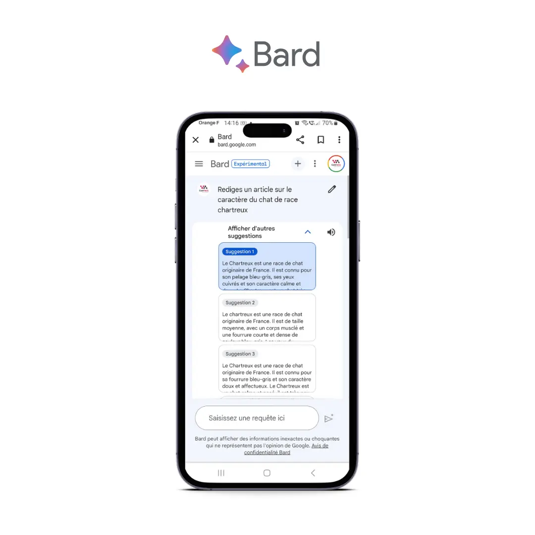 Google Bard est l'outil d'intelligence artificielle expérimental développé par Google.