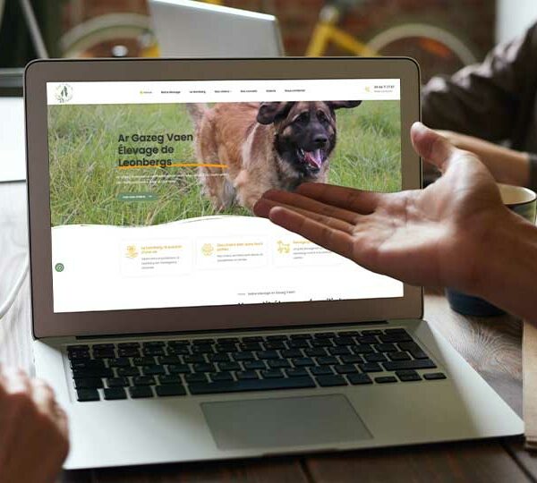 L'agence digitale Com'etic basée à Quimper a créé le site web de Ar Gazeg Vaen qui est un petit élevage familial de chiens de race Leonberg, situé dans le finistère.